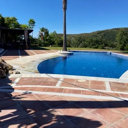 Apartment Palm Tree Golfers Retreat With Private Pool