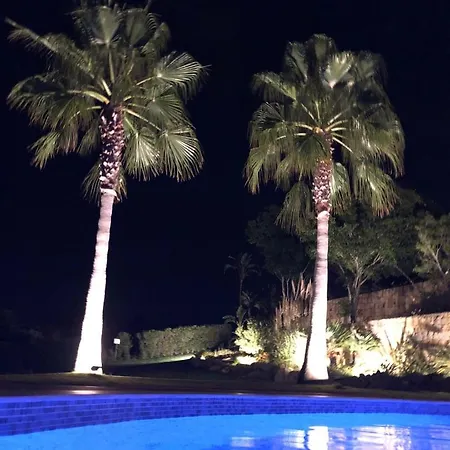 Palm Tree Golfers Retreat With Private Pool Apartment *