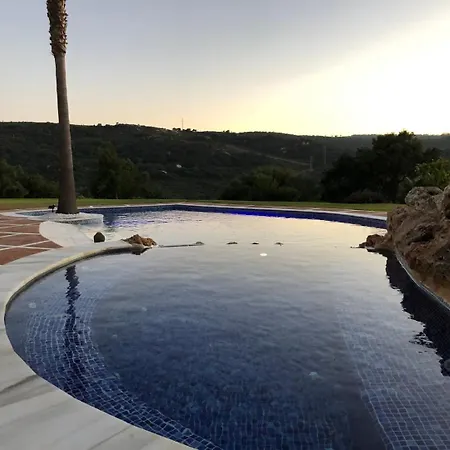 Palm Tree Golfers Retreat With Private Pool Apartment *