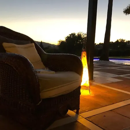 Apartment Palm Tree Golfers Retreat With Private Pool *
