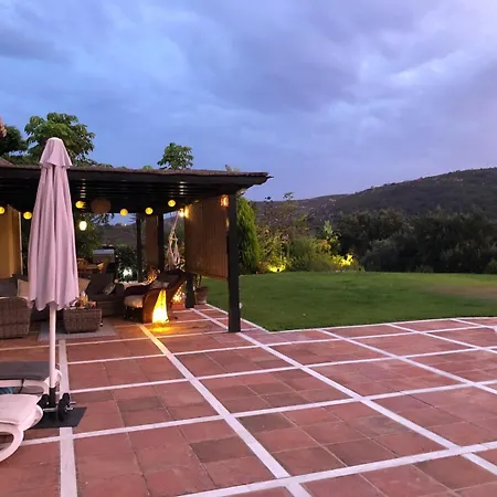 Palm Tree Golfers Retreat With Private Pool Apartment