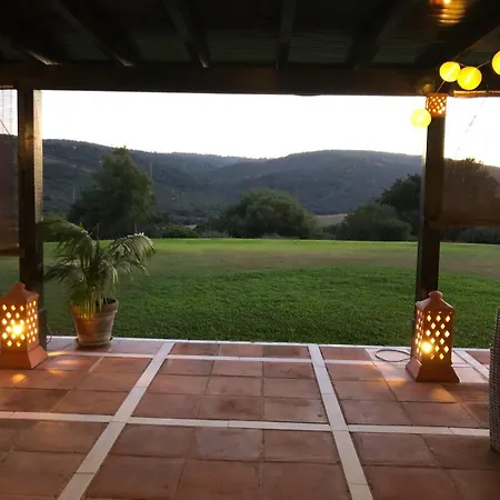 Apartment Palm Tree Golfers Retreat With Private Pool *